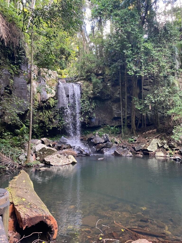 Curtis Falls, Mt Tamborine, Brisbane