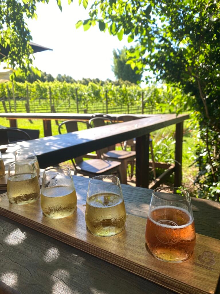 Wine Tasting Paddle at Witches Falls Winery near Brisbane
