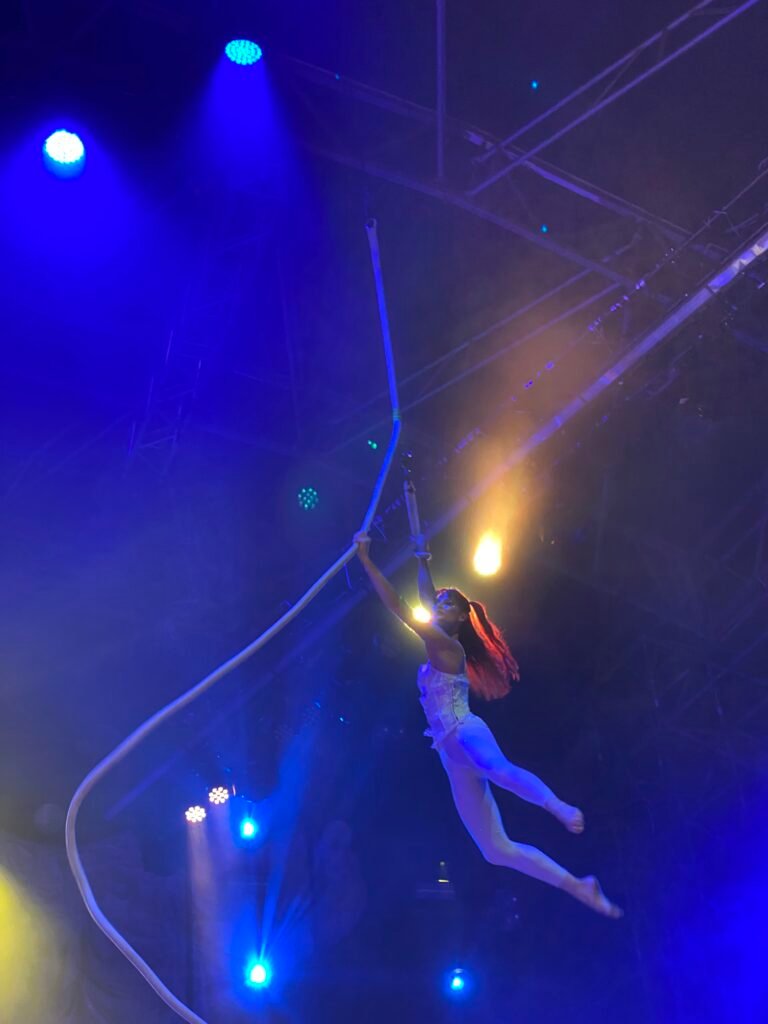 Aerial Performer at Splore Mortal Fever Dream