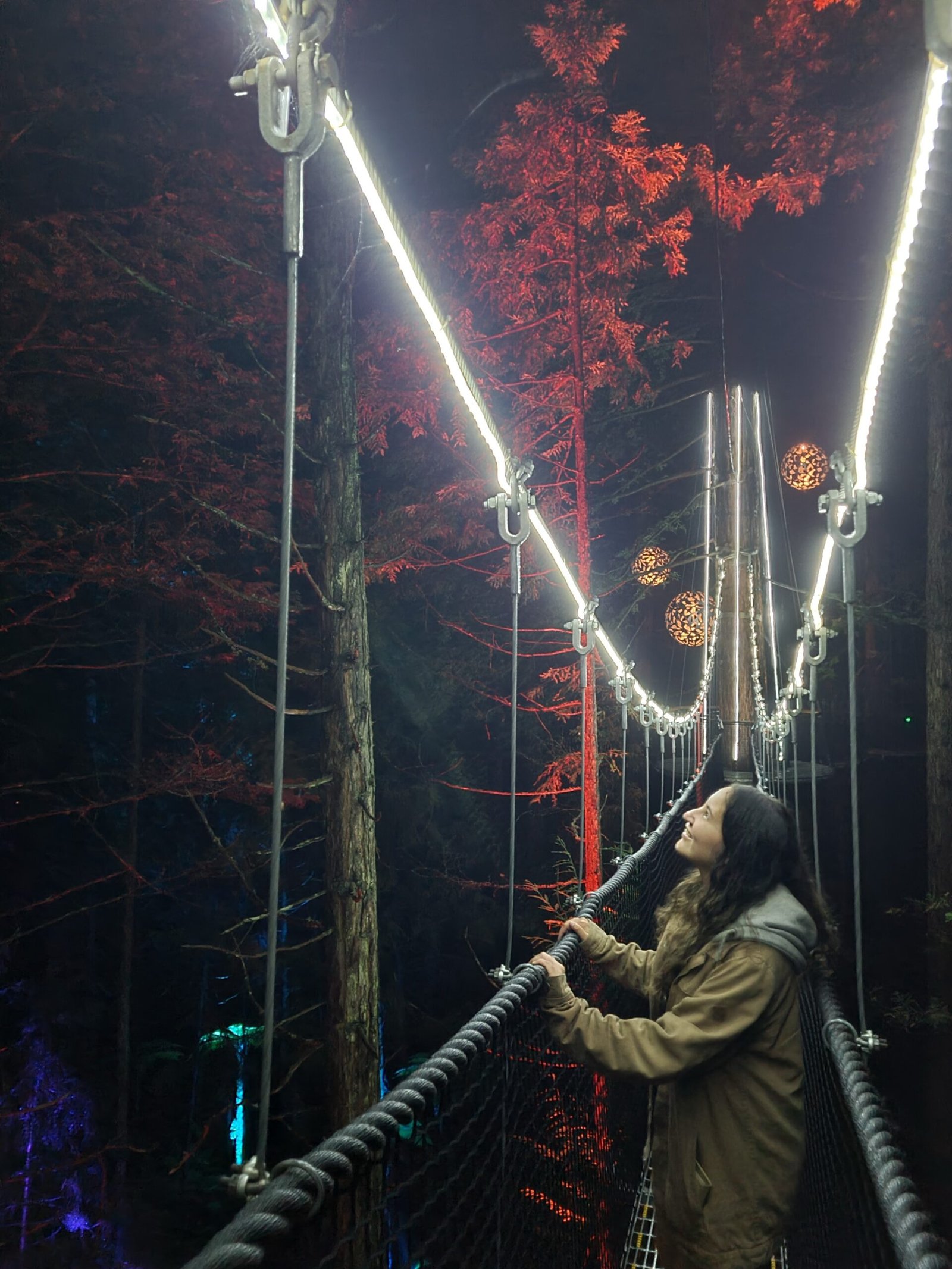 Redwoods Treewalk Bridge