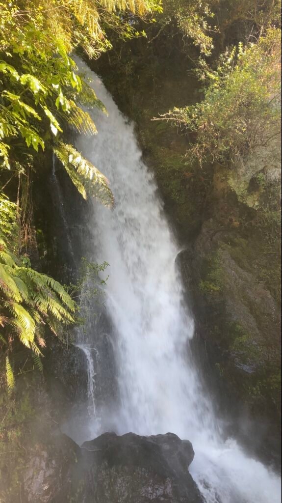 Te Wairoa Falls in Rotorua